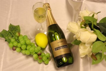 代理什么樣的法國進(jìn)口紅酒品牌好