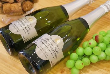 開家紅酒批發(fā)店要多少資金